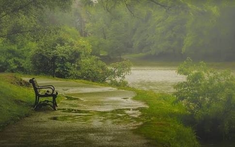 rainy day