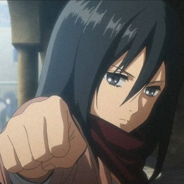"mikasa" little me