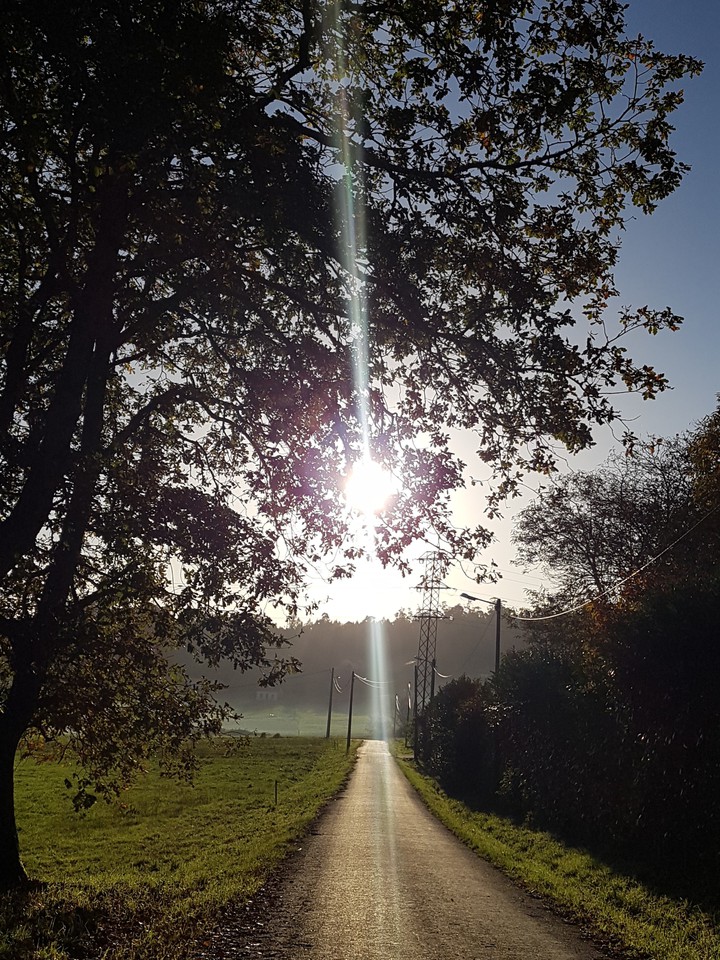 Sunny evening