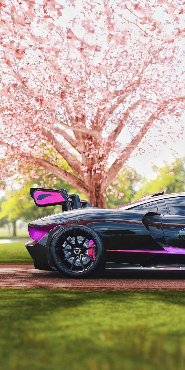 lamborghini
