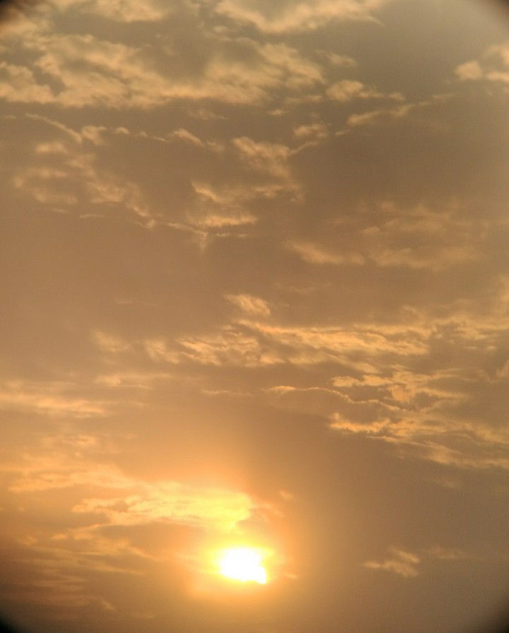 Nice morning