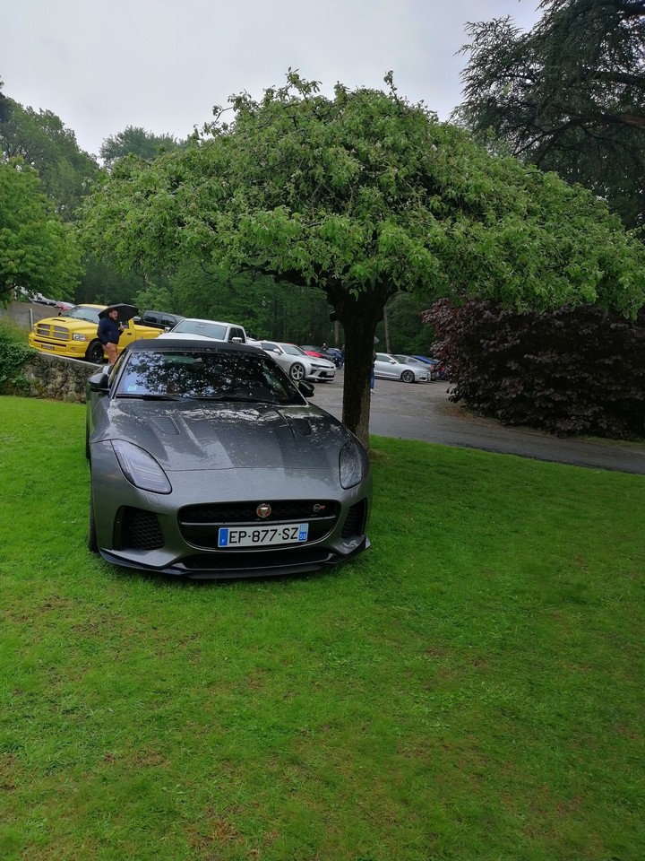 F-type svr