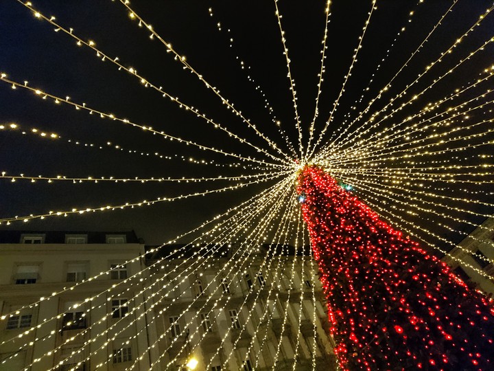 Christmas Tree in Budapest