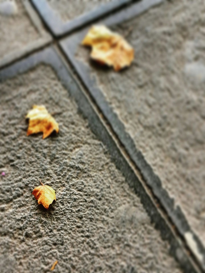 Fallen