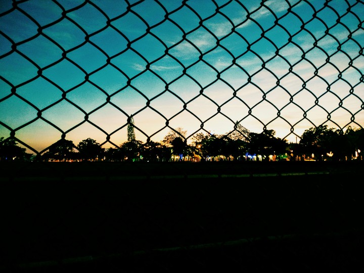 VIEW FROM THE NETS