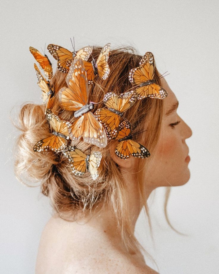 butterfly