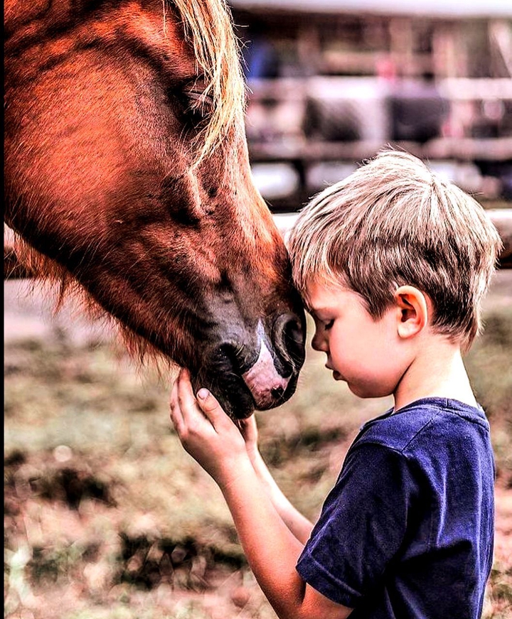 boy