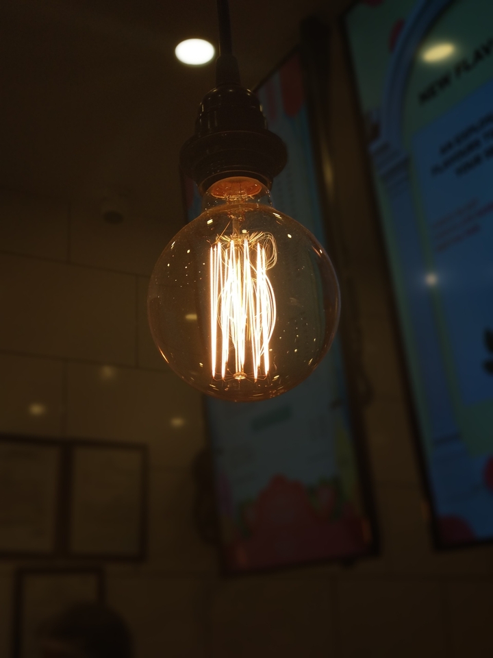 The Bulb