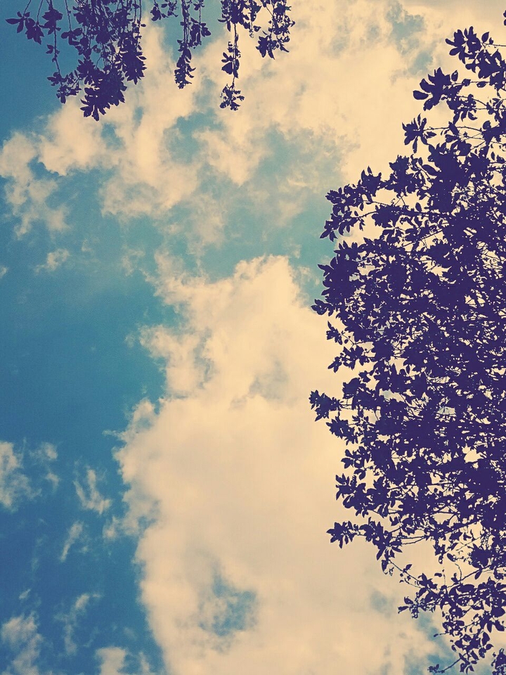 Sky
