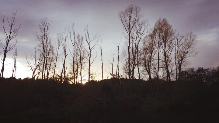 'sun in the sky'