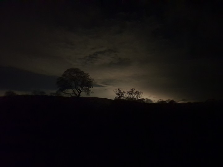 Night Skyline