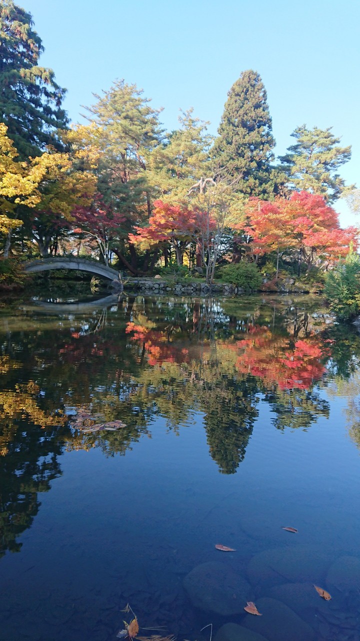 水面に映る紅葉