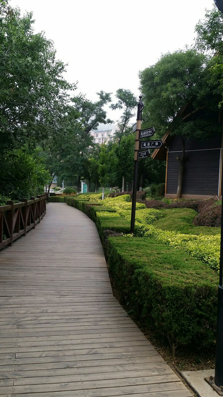 Walk