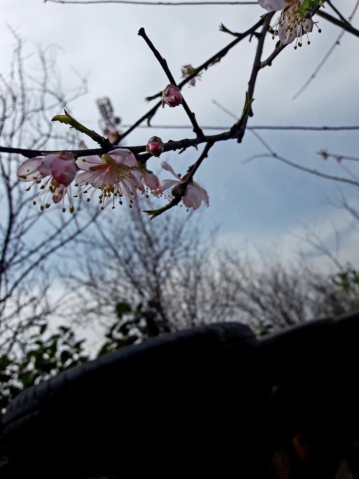 taken by me