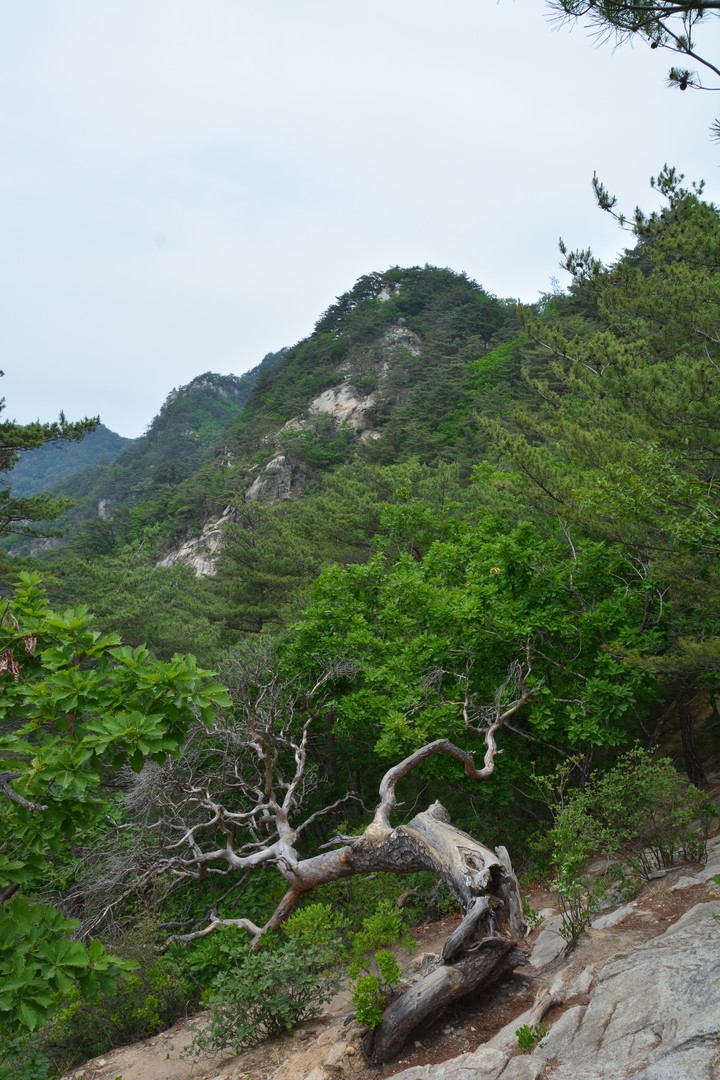 오봉산이미지