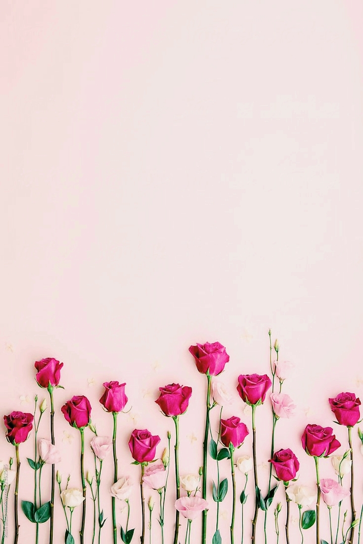 wallpaper