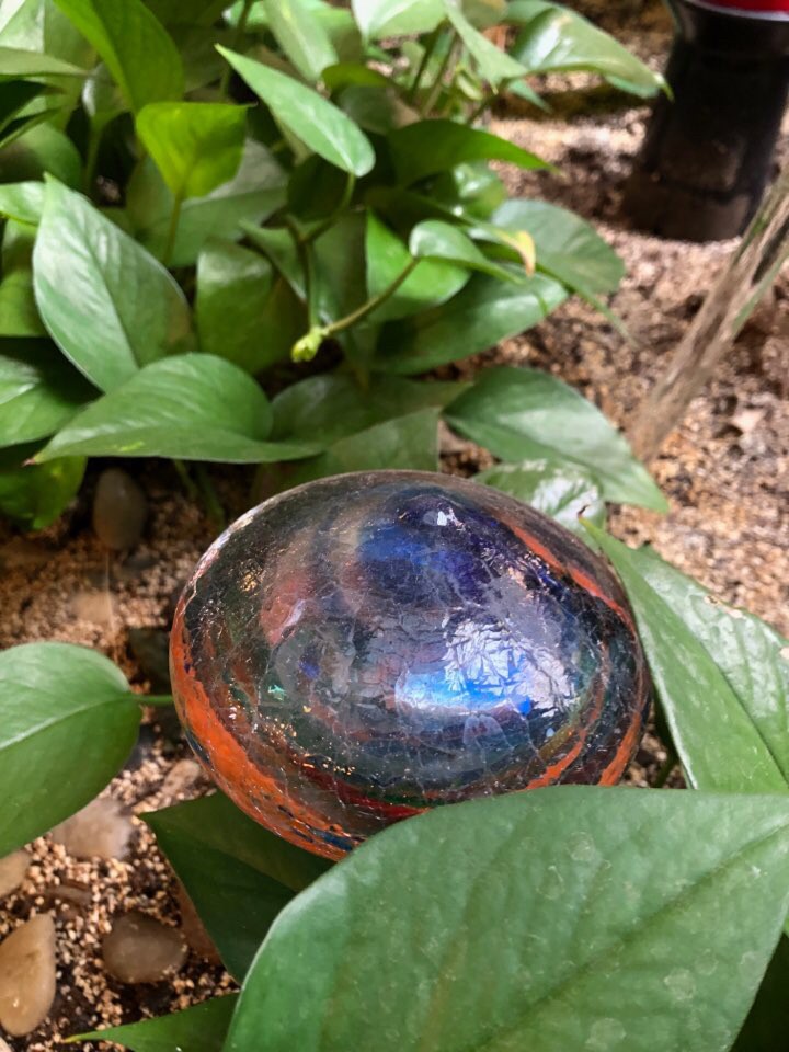 glass mushroom