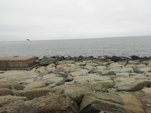 Karadeniz