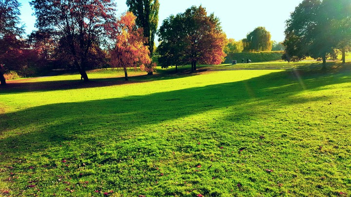 Park