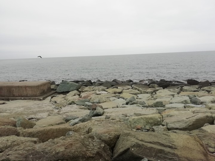 Karadeniz