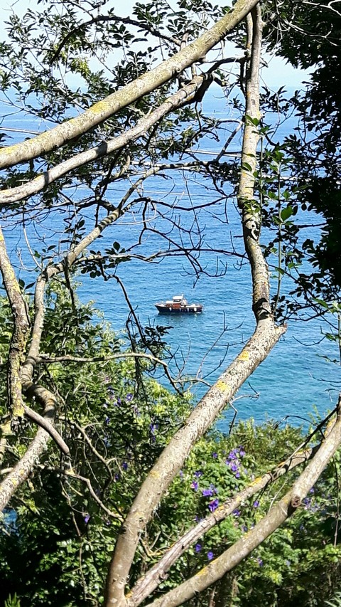 sea