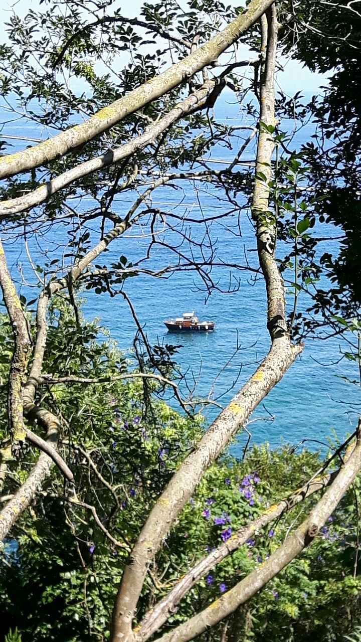 sea