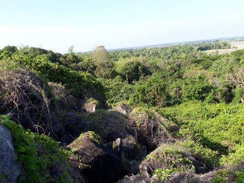 ị