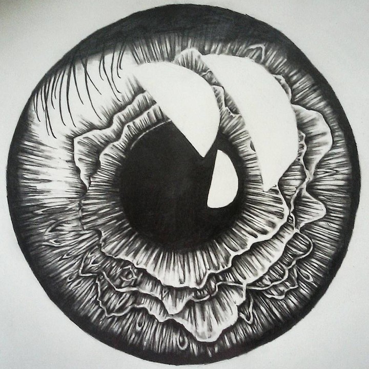 Iris Drawing