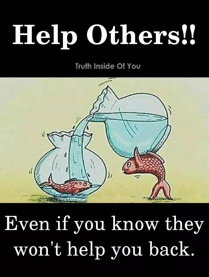 Be Nice Brother