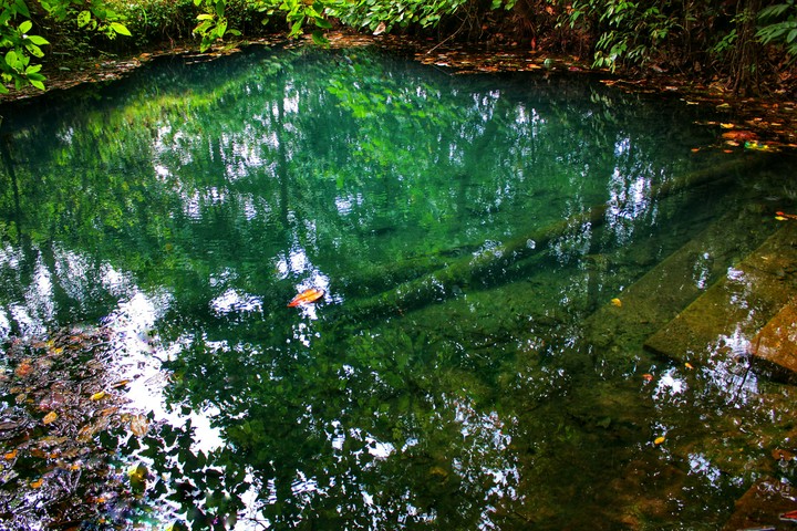 Reflecting the beauty