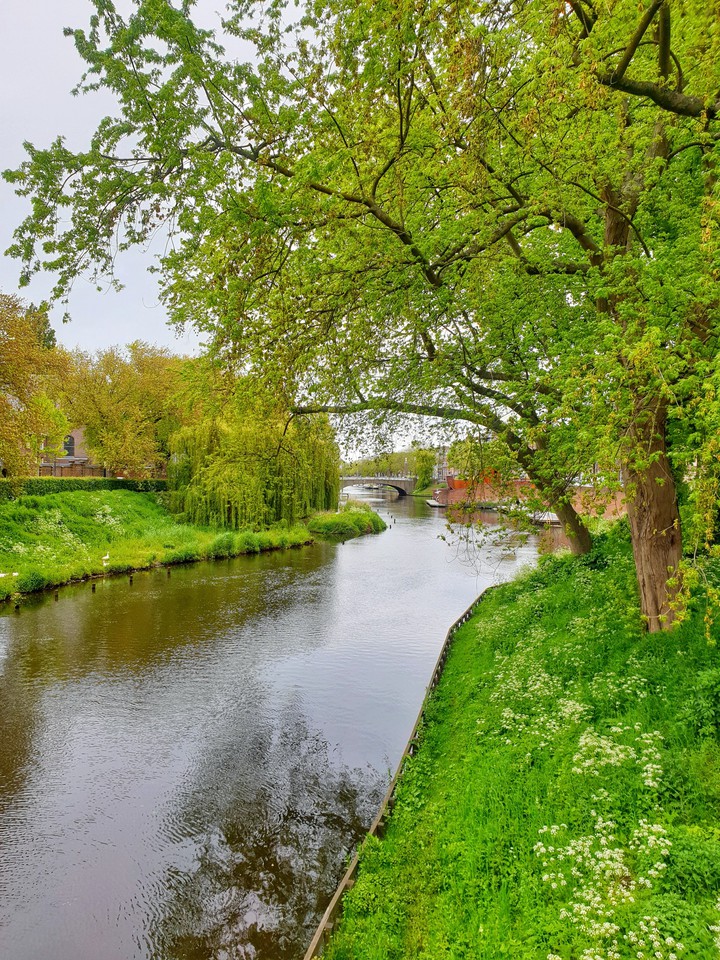 Nederland
