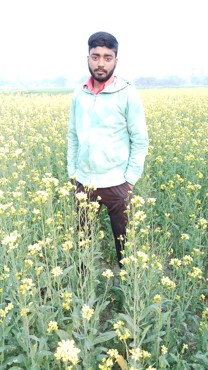 masti