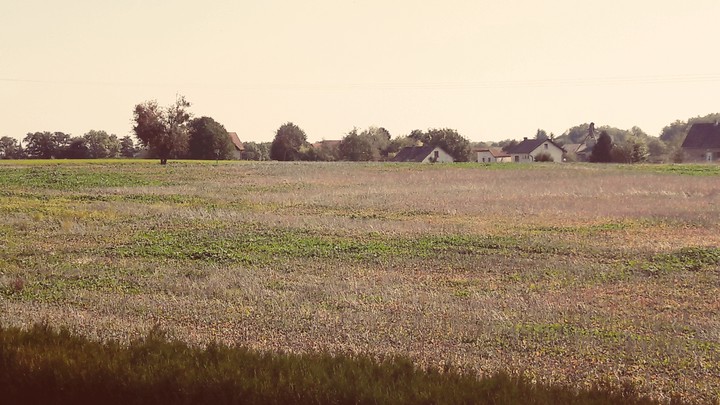 Countryside