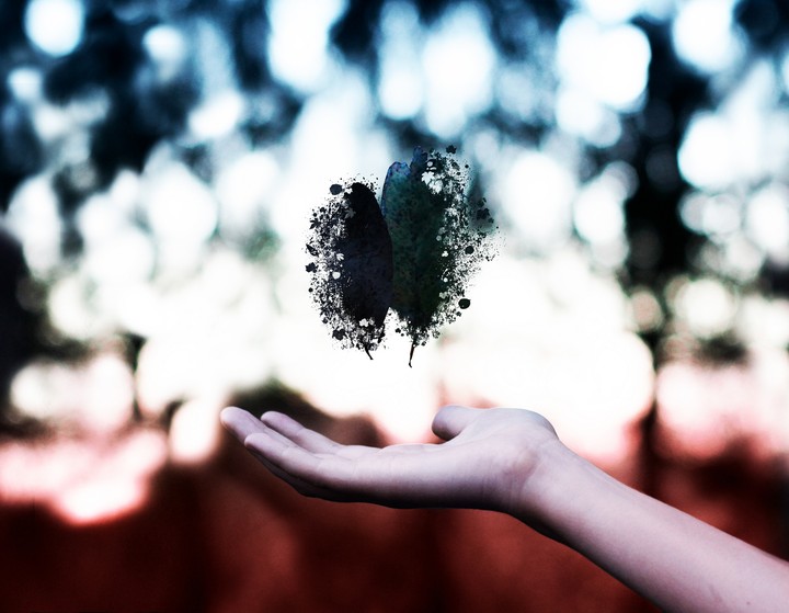 Fascination