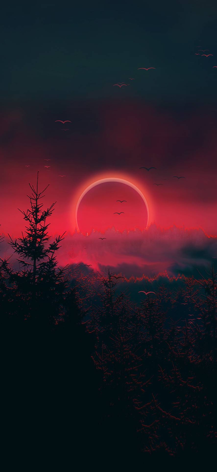 Magic Sunset