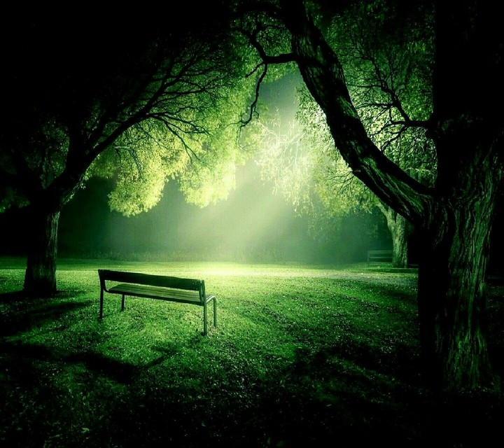 Darkness and greenery