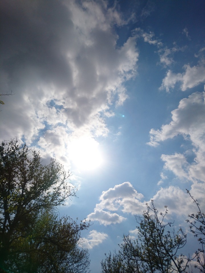 sun in the sky!