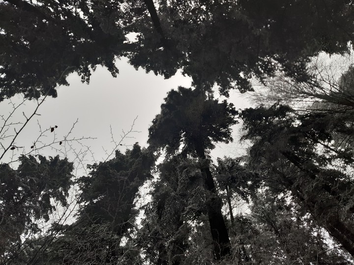 nature