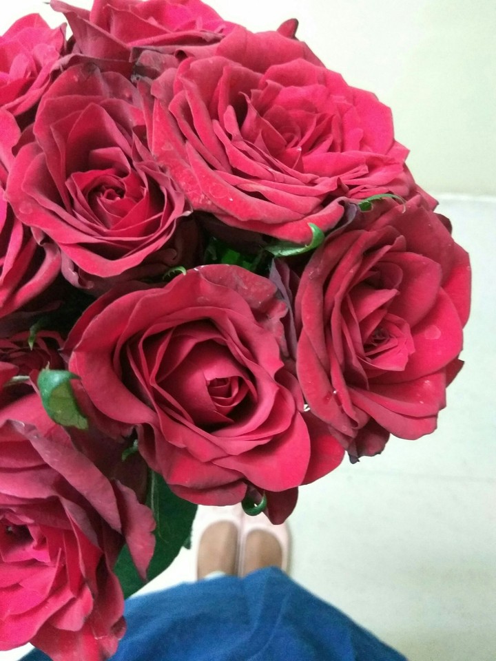 valentine's Day
