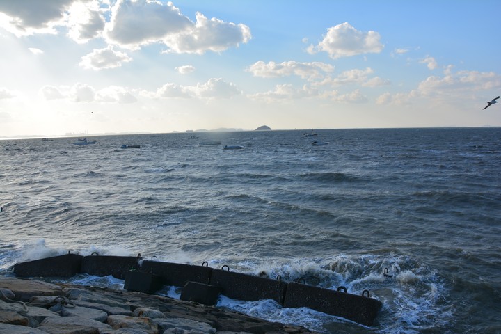오이도이미지