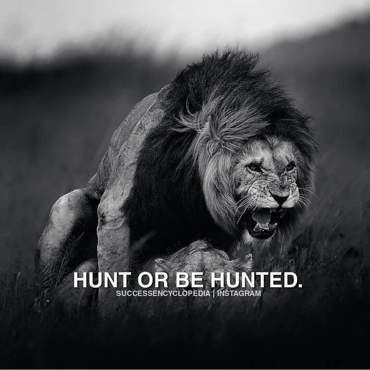 hunt or be hunted