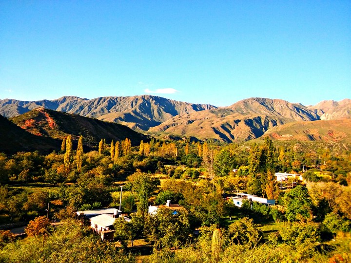 Aicuña