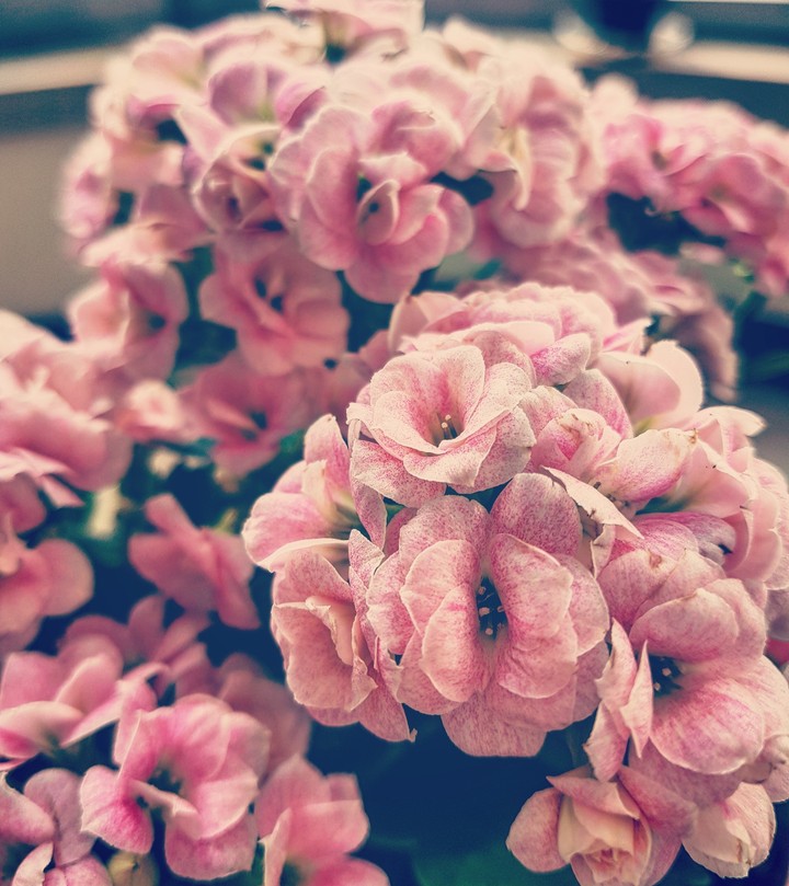beauty