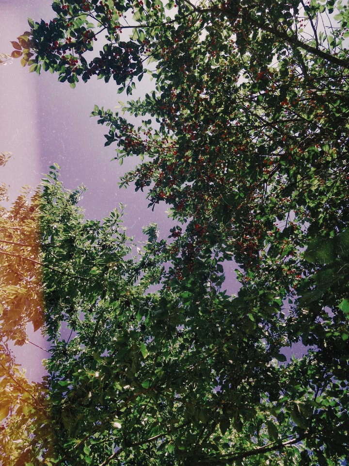 Green summer