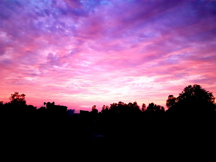 evening