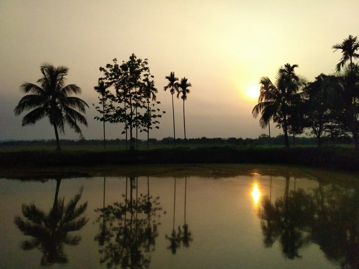 peaceful sunset