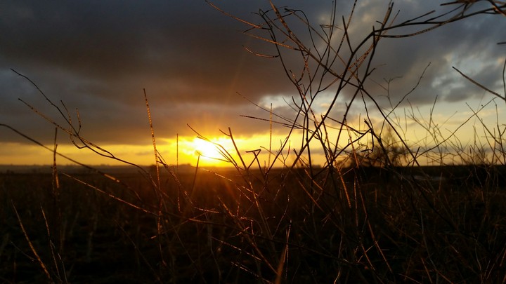 Sun