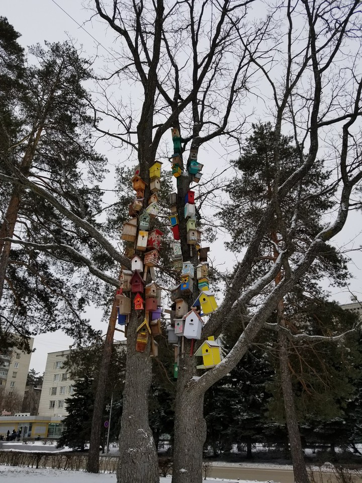 #ZarechnyPenzaregion