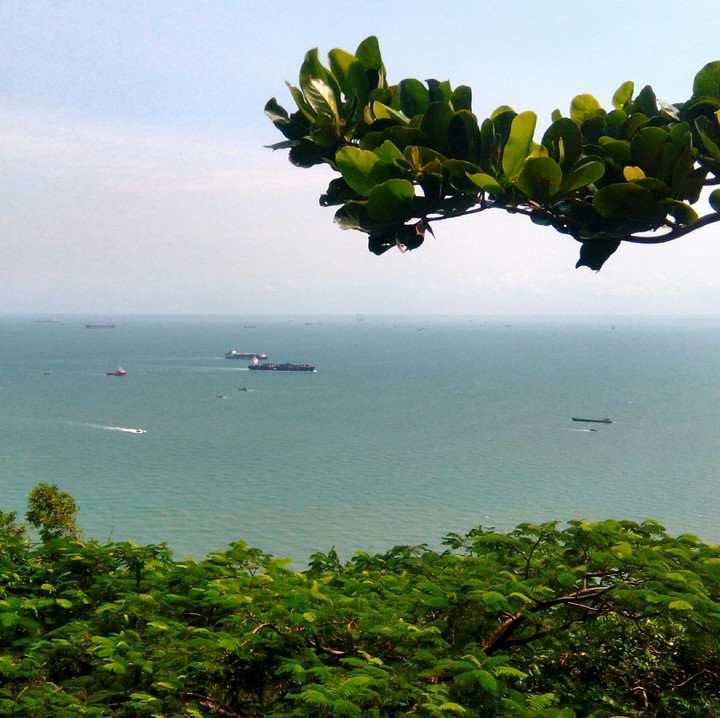 sea
