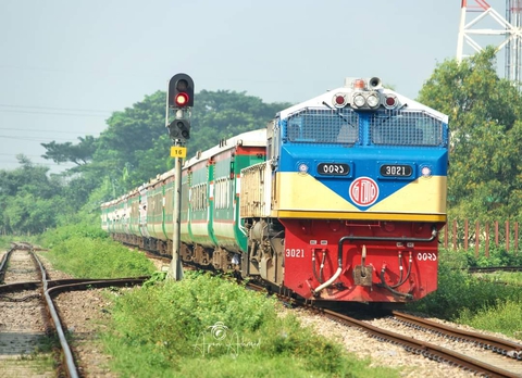 train, plant wallpapers